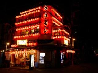 #Japon #Insolite #Bar a hiboux