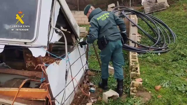 Investigado por maltrato animal un ganadero de Guadalajara que acumulaba multitud de animales muertos en su finca
