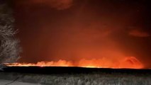Texas'ta orman yangınları... Eyalette acil durum ilan edildi