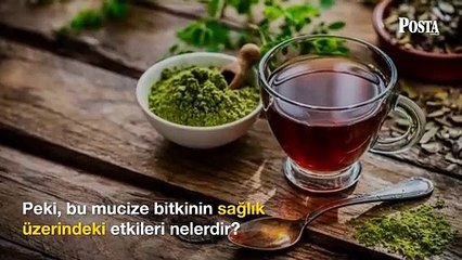 Giresun'da yetişiyor! Bardak bardak içenin vücudunda iltihap bırakmıyor