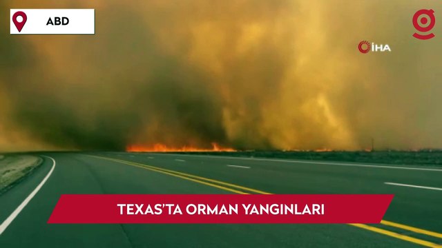 Texas’ta orman yangınları: İtfaiyeciler alevlerin arasında kaldı