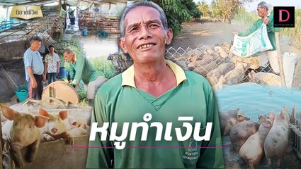 ล้มลุกคลุกคลาน 10 ปี! ลุงพบวิธีเลี้ยงหมูฟรีสไตล์ สร้างรายได้ดีเกินคาด | HOTSHOT เดลินิวส์ 03/03/67