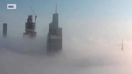 New York City Fog
