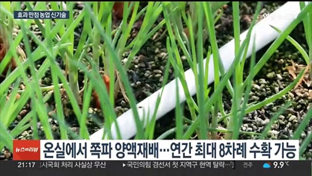 "농업 신기술 보급했더니"…소득 증가·비용 감소