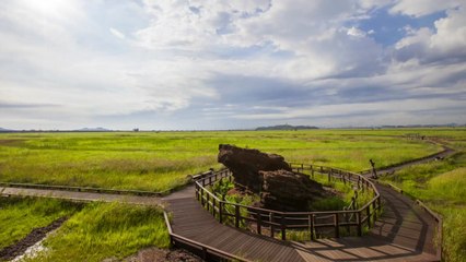 [경기] 화성시 '공룡 화석 산지' 국가지질공원 신규 인증 / YTN