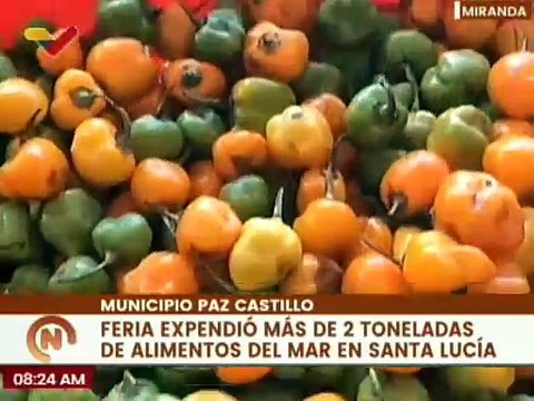 Plan Venezuela Come Pescado ha beneficiado a más de 12 mil familias en 7 municipios del edo. Miranda