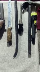 कार्रवाई: एक दर्जन चोरी के मामलों का खुलासा