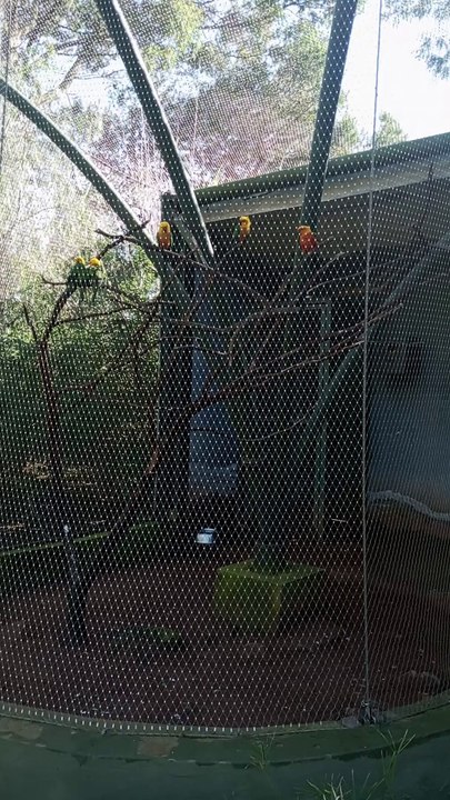 Rencontre Intime avec les Habitants du Zoo de Rabat #ZooRabat, #Animaux, #Nature