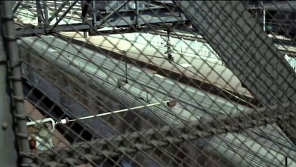 Le Samouraï (version restaurée) (1967) - Bande annonce