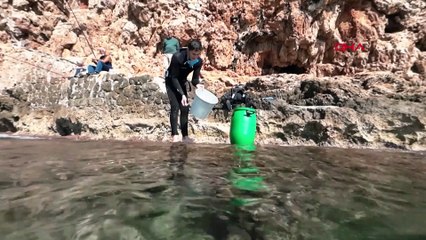 Antalya Körfezi’nde denizanası yoğunluğu