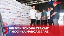 Harga Beras Terus Meroket, Jokowi: Sudah Turun, Coba Cek ke Pasar