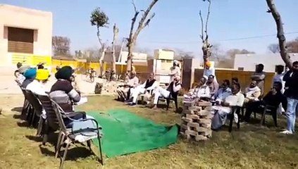 गुलाबी सुंडी से बचाव के लिए कीटनाशी प्रबंधन के साथ...खेत में रखी बनछटियां भी हटाएं
