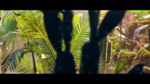 PYTHON ISLAND - Malayalam Dubbed Chinese Movie
