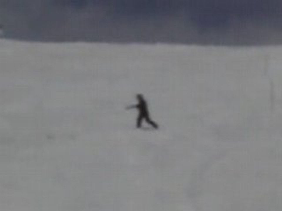 Les bronzés font du ski !