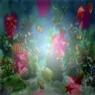 Dora The Explorer S08E09 Doras And Sparkys Riding Adventure