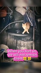 When you hurt us, we will not remain silent