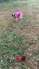 Princess plays keep aWAY