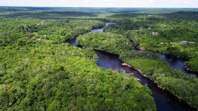 Copernicus: incêndios florestais no Brasil geram níveis desconhecidos de emissões de carbono