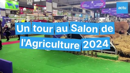 Visite au cœur du Salon International de l'Agriculture 2024