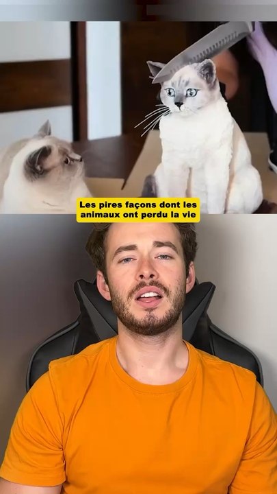 Les pires façons dont les animaux ont perdu la vie