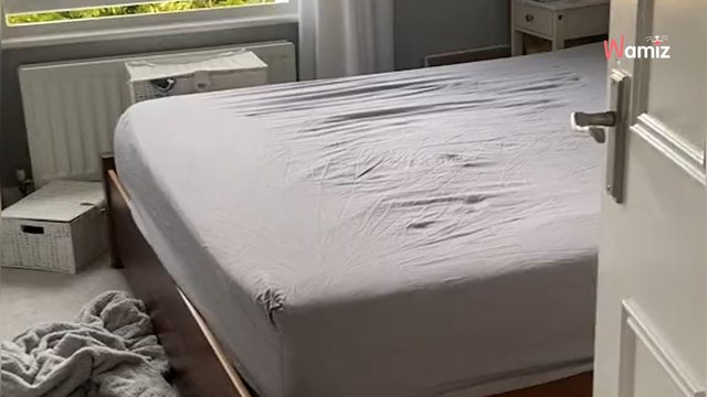 Kot broni łóżko przed zaścieleniem: 6 milionów osób umiera ze śmiechu (video)