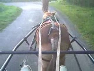 Toujours notre tite ballade