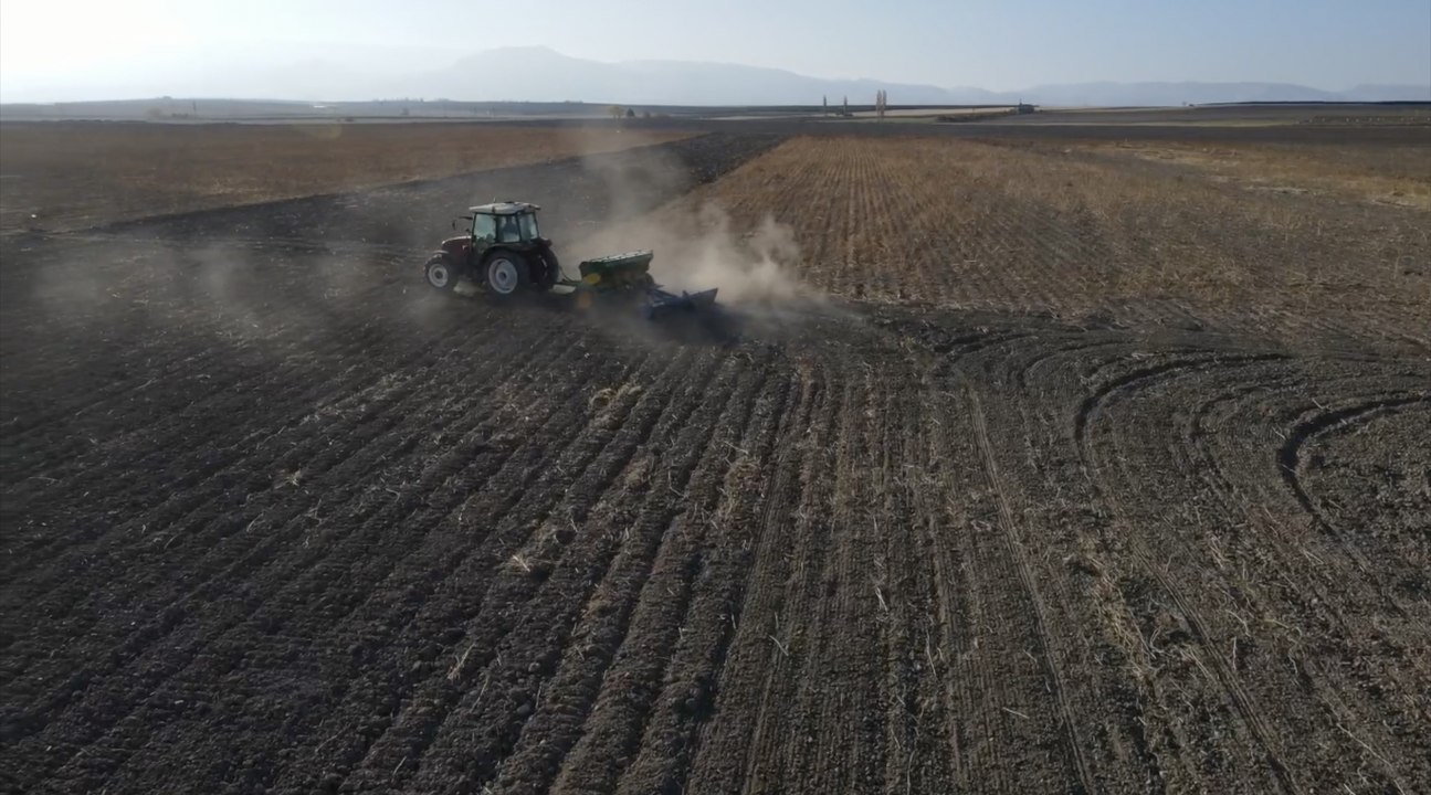 The farming subsidies saga goes on