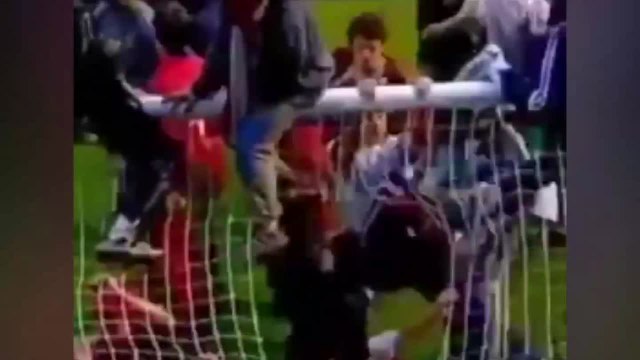 El vídeo random de la semana con diferencia: Koldo, el asesor de Ábalos, en el estadio de Osasuna