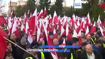 Polish farmers take to streets of Warsaw in largest demonstrations yet