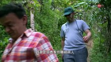 零距離科學_長壽的秘密_Arte_Secrets de longévité_20150403_