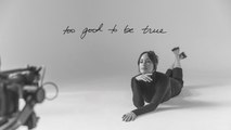 Kacey Musgraves - Too Good to be True (Lyric Video)