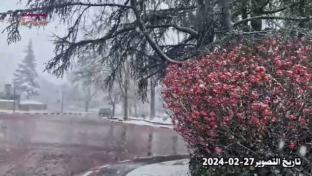 افران مع تساقط الثلوج سحر وجمال SNOW IN IFRANE MOROCCO