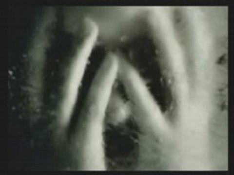 Sözde Laiklik ve Müslümanlık ! Hakikat Çamur Altında