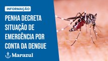 Penha decreta situação de emergência por conta da dengue