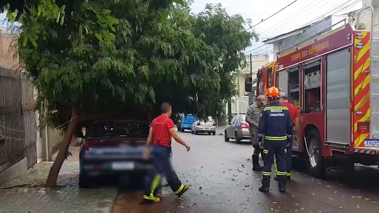 Após temporal, árvore tomba e deixa HB20 preso entre os galhos no Canadá