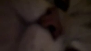 ASMR Cat Purring Close Up