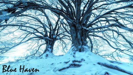 Sean Ferree - Blue Haven (Official Music Video)