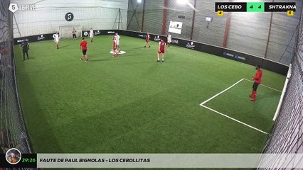 Faute de Paul Bignolas - LOS CEBOLLITAS