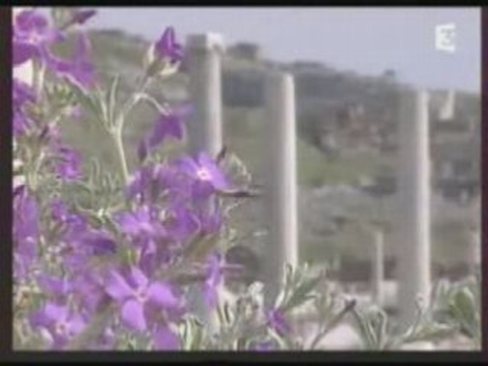 Les cyclades... Delos