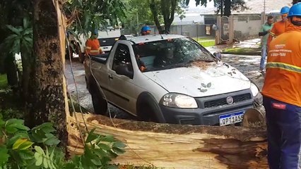 Árvore cai em cima de Fiat Strada no bairro Country