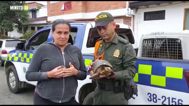 Una niña en Rionegro le entregó a Cornare una tortuguita que le regalaron de cumpleaños