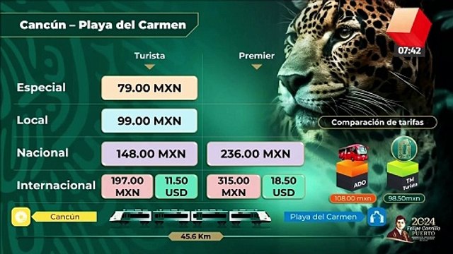 Gobierno implementará transporte desde zonas turísticas a Tren Maya