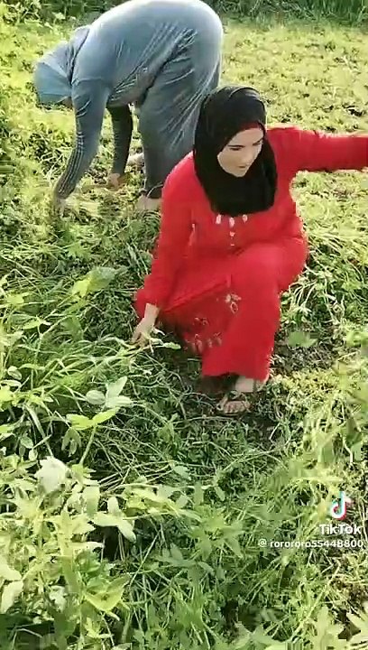 فلاحه مصريه في اسكندريه