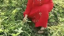 فلاحه مصريه في اسكندريه