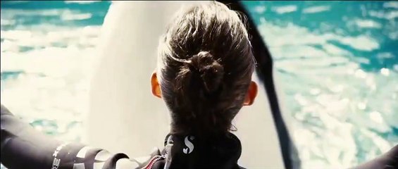 De rouille et d'os (2012) - Bande annonce