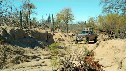 Desierto (2015) - Bande annonce