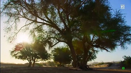 Edén, paraísos remotos- El desierto del Namib