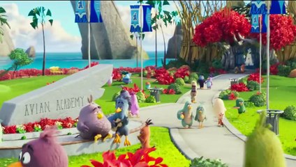 Angry Birds : copains comme cochons (2019) - Bande annonce