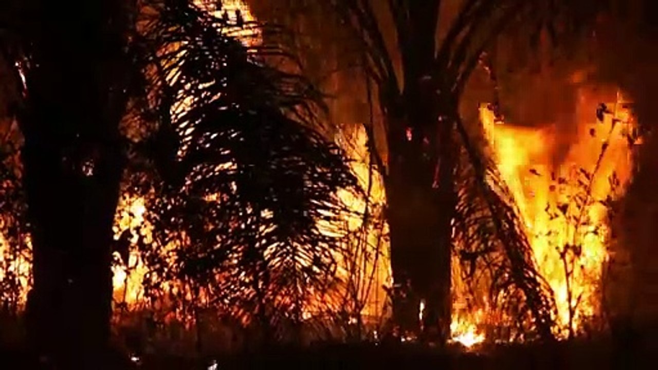 Amazônia Legal registra quase 3 mil incêndios, recorde para o mês de fevereiro