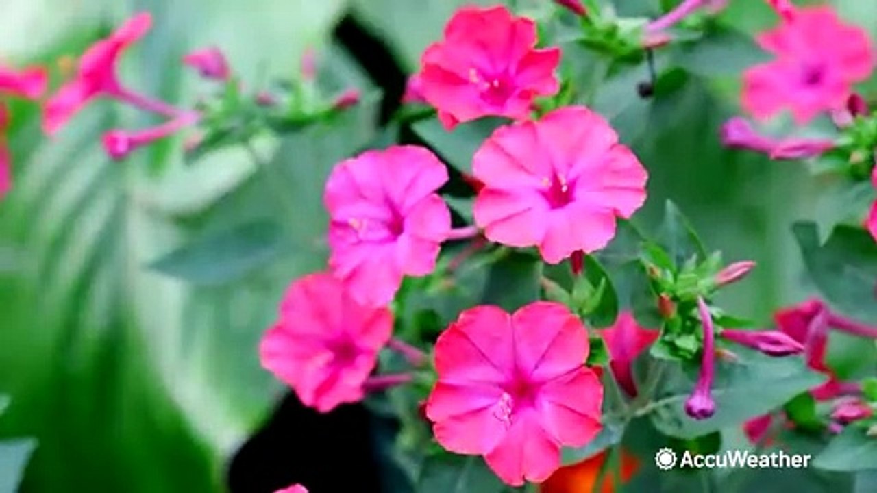 Top astronomy events for March 2024